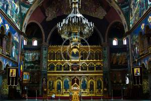 portfolio7-copyright